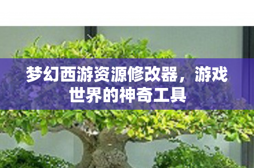 梦幻西游资源修改器图片