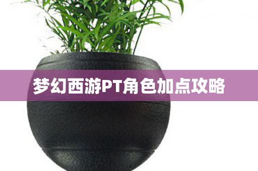 梦幻西游PT角色加点攻略图片