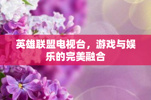 游戏与娱乐的完美融合图片