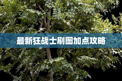 最新狂战士刷图加点攻略图片