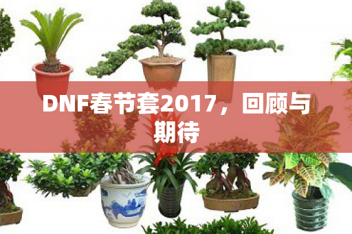 DNF春节套2017图片