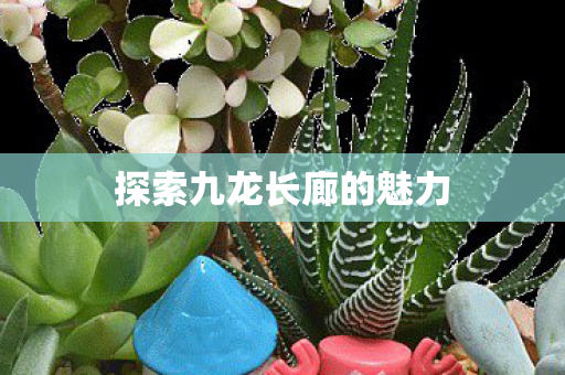 探索九龙长廊的魅力图片