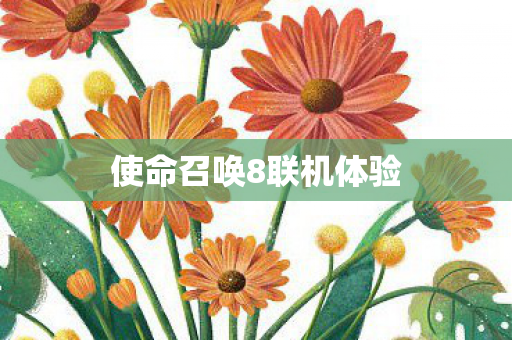 使命召唤8联机体验图片