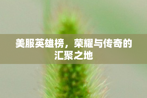 荣耀与传奇的汇聚之地图片