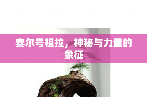 神秘与力量的象征图片