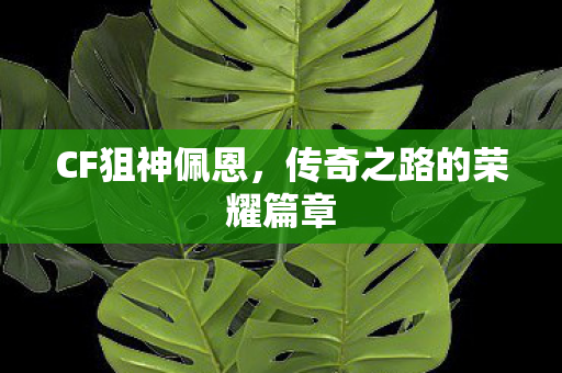 传奇之路的荣耀篇章图片