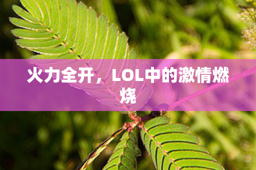 LOL中的激情燃烧图片