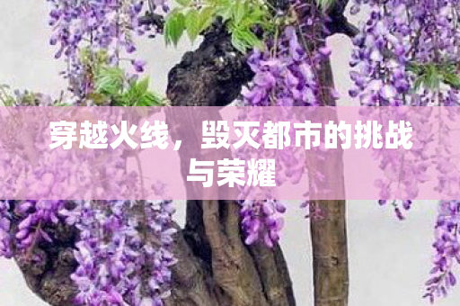 毁灭都市的挑战与荣耀图片
