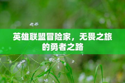 无畏之旅的勇者之路图片