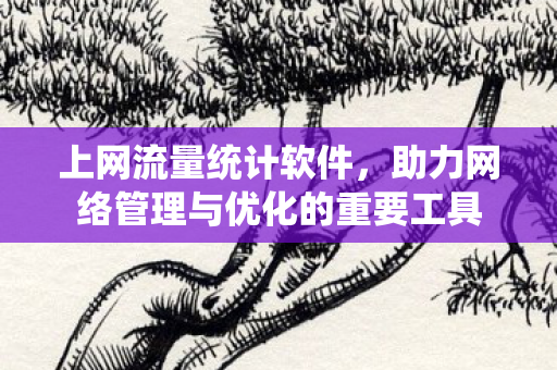 助力网络管理与优化的重要工具图片