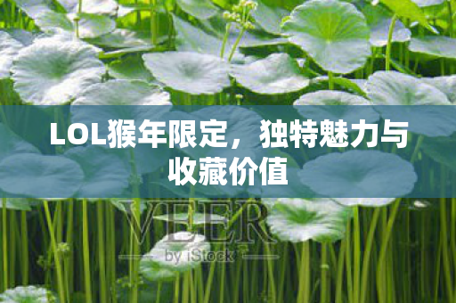独特魅力与收藏价值图片