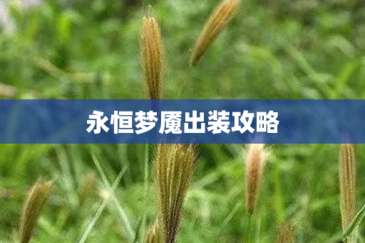 永恒梦魇出装攻略图片