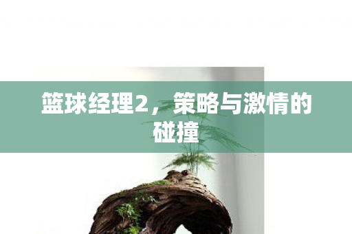 策略与激情的碰撞图片