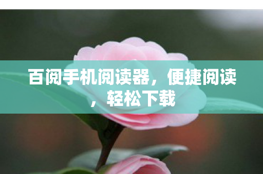 百阅手机阅读器图片