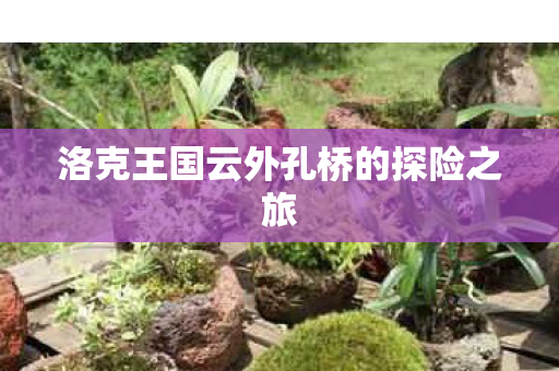 洛克王国云外孔桥的探险之旅图片