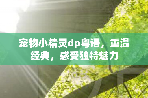 宠物小精灵dp粤语图片