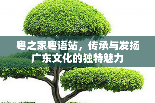 传承与发扬广东文化的独特魅力图片