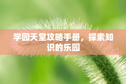 学园天堂攻略手册图片
