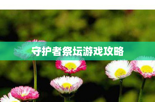 守护者祭坛游戏攻略图片