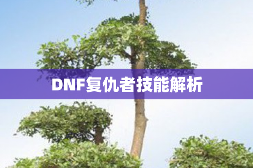 DNF复仇者技能解析图片