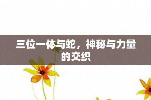 神秘与力量的交织图片