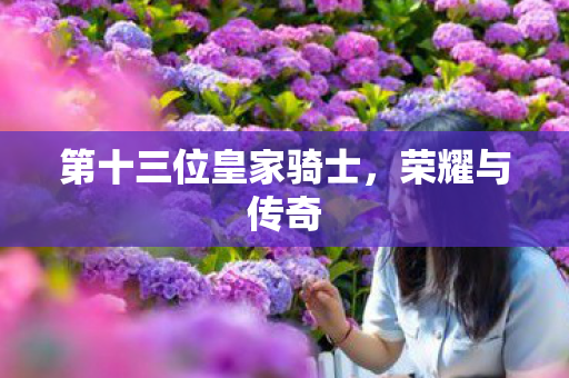 第十三位皇家骑士图片