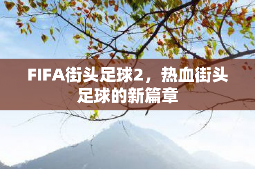 热血街头足球的新篇章图片