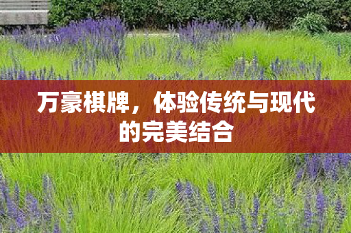 体验传统与现代的完美结合图片