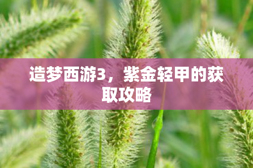 紫金轻甲的获取攻略图片