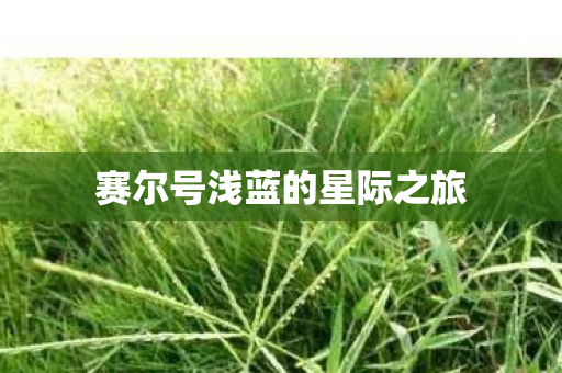 赛尔号浅蓝的星际之旅图片