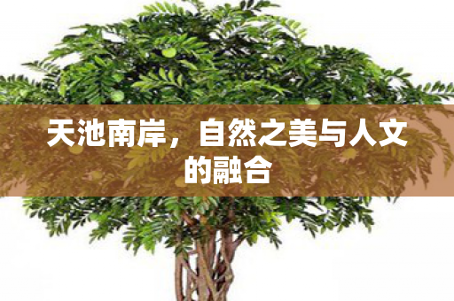 自然之美与人文的融合图片