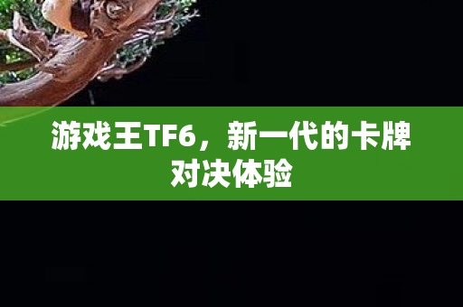 新一代的卡牌对决体验图片