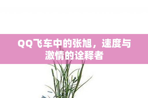 速度与激情的诠释者图片