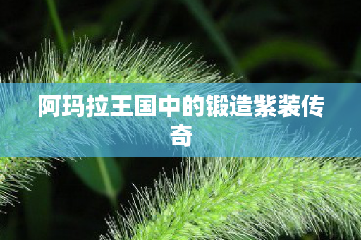 阿玛拉王国中的锻造紫装传奇图片