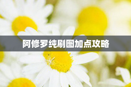 阿修罗纯刷图加点攻略图片