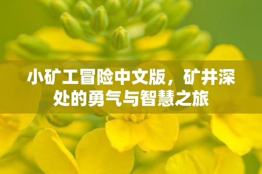 矿井深处的勇气与智慧之旅图片