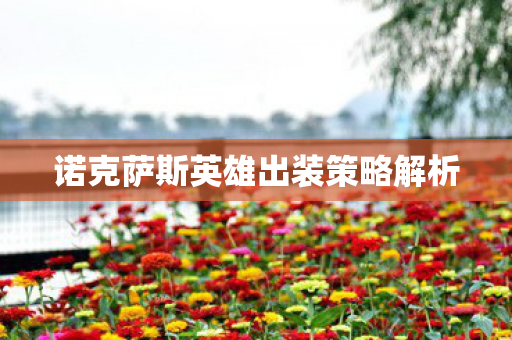 诺克萨斯英雄出装策略解析图片