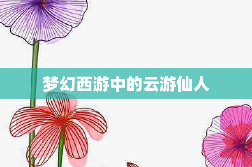 梦幻西游中的云游仙人图片