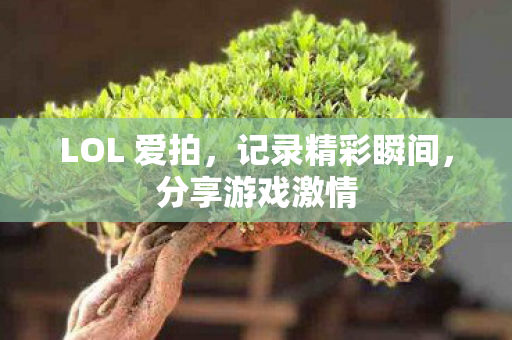 LOL 爱拍图片