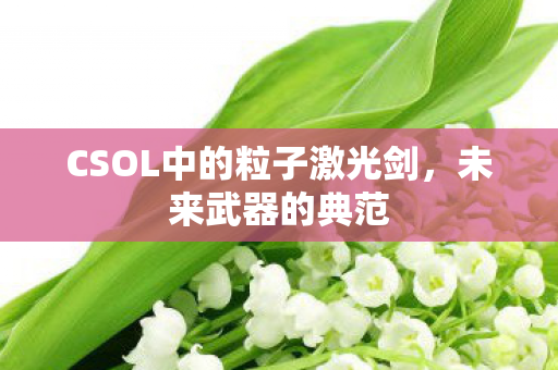 CSOL中的粒子激光剑图片