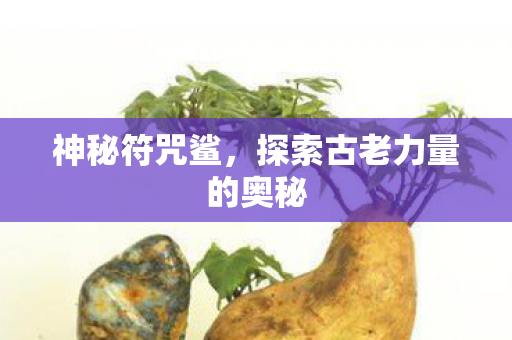 探索古老力量的奥秘图片