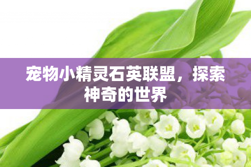 宠物小精灵石英联盟图片