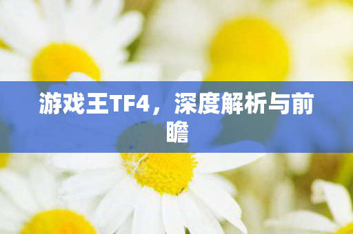 深度解析与前瞻图片