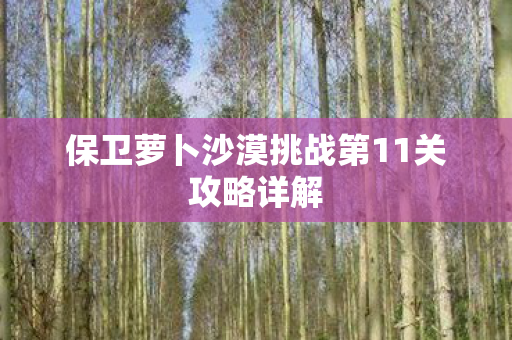 保卫萝卜沙漠挑战第11关攻略详解图片