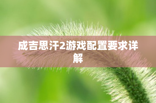成吉思汗2游戏配置要求详解图片