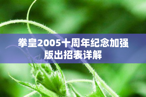 拳皇2005十周年纪念加强版出招表详解图片