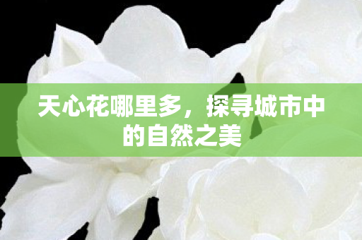 探寻城市中的自然之美图片