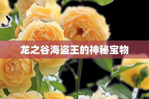 龙之谷海盗王的神秘宝物图片