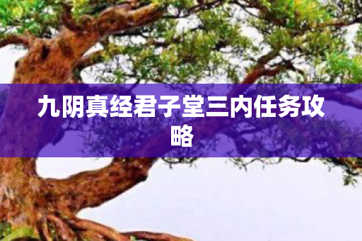 九阴真经君子堂三内任务攻略图片