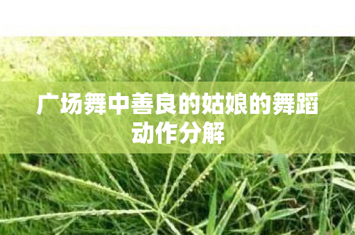 广场舞中善良的姑娘的舞蹈动作分解图片
